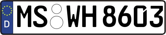 MS-WH8603