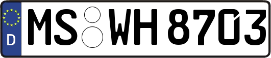 MS-WH8703