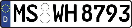 MS-WH8793