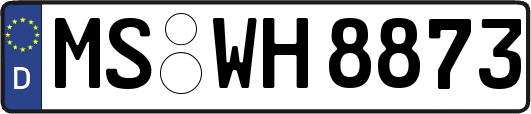 MS-WH8873