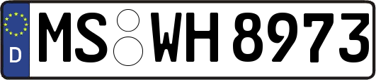 MS-WH8973