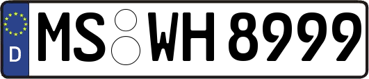 MS-WH8999