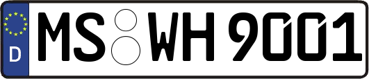 MS-WH9001