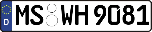 MS-WH9081