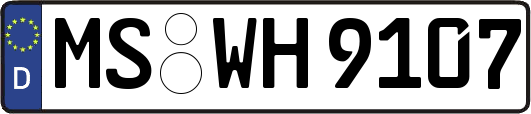 MS-WH9107