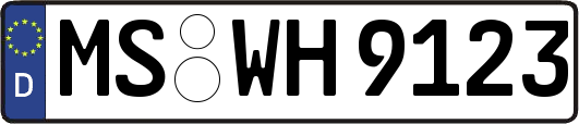 MS-WH9123
