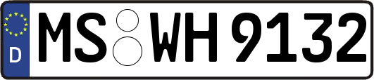 MS-WH9132