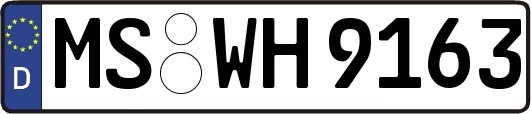 MS-WH9163
