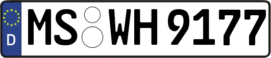 MS-WH9177