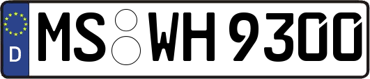 MS-WH9300