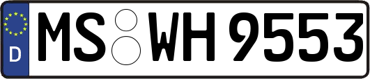 MS-WH9553