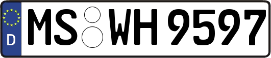 MS-WH9597