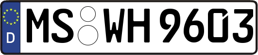MS-WH9603