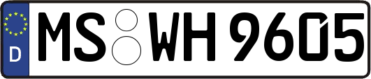 MS-WH9605