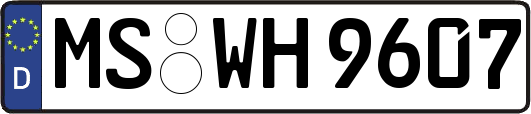 MS-WH9607