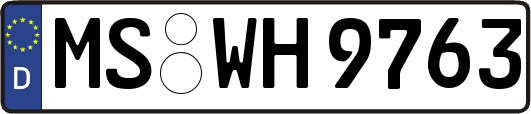 MS-WH9763
