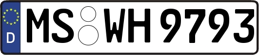 MS-WH9793