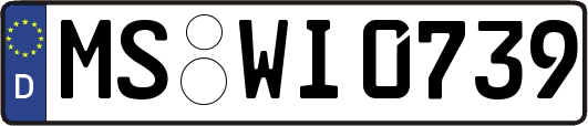 MS-WI0739