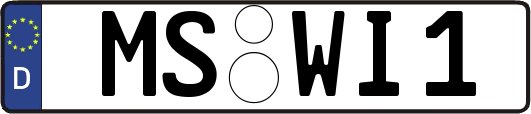 MS-WI1