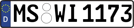MS-WI1173