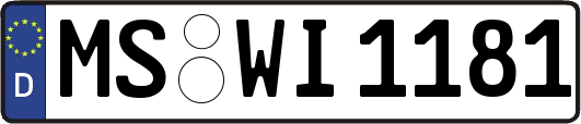 MS-WI1181