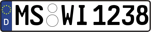 MS-WI1238