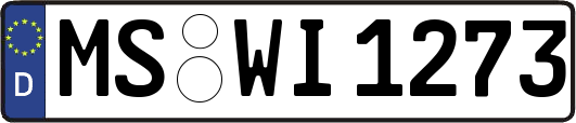 MS-WI1273