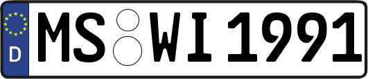 MS-WI1991