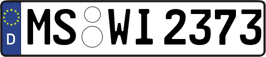 MS-WI2373