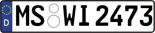 MS-WI2473