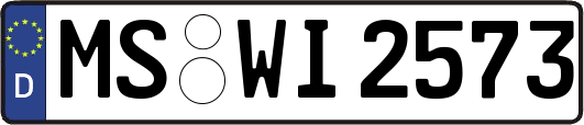 MS-WI2573