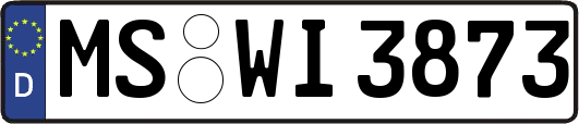 MS-WI3873