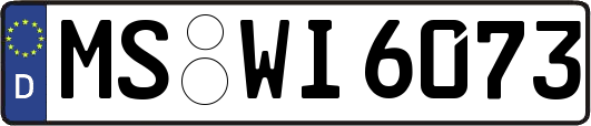 MS-WI6073