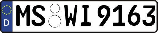 MS-WI9163