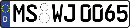 MS-WJ0065