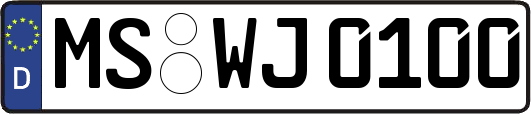 MS-WJ0100