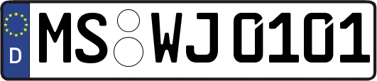 MS-WJ0101
