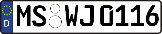 MS-WJ0116