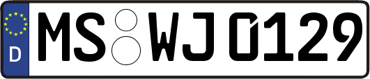 MS-WJ0129