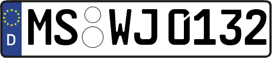 MS-WJ0132