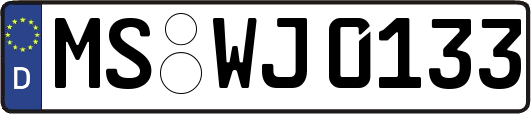 MS-WJ0133