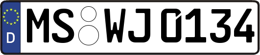 MS-WJ0134