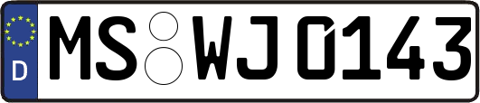 MS-WJ0143