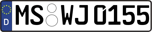 MS-WJ0155