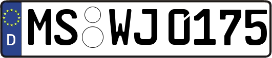 MS-WJ0175