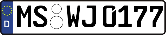 MS-WJ0177