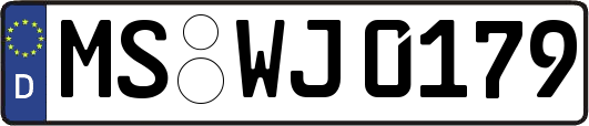 MS-WJ0179