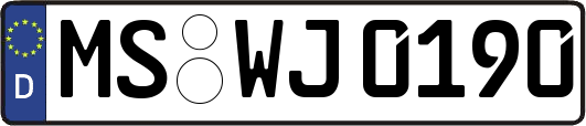 MS-WJ0190