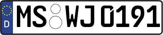 MS-WJ0191