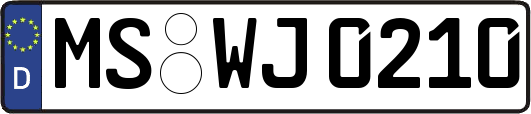 MS-WJ0210